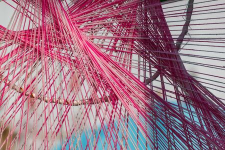 the nylonの写真素材