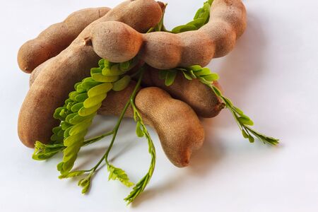 the tamarind on paper backgroundの写真素材