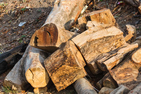 firewood