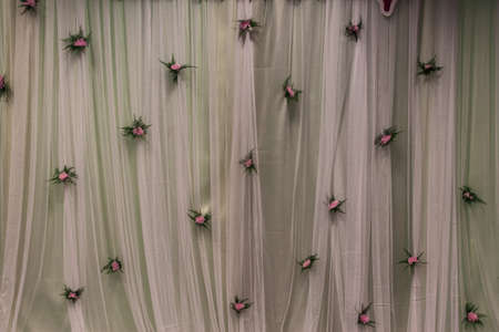 lovely curtainの写真素材