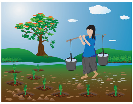 lifestyle countryside vector designのイラスト素材