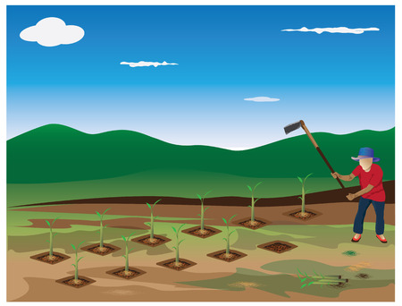 lifestyle countryside vector designのイラスト素材