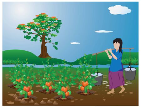 agriculturist in tomato garden vector designのイラスト素材