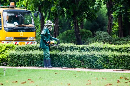 BANGKOK, THAILAND - JUL 10 : The man cutting green flower by lawn mower on July 10, 2015 at Suanluang RAMA IX garden in Bangkok, Thailandのeditorial素材