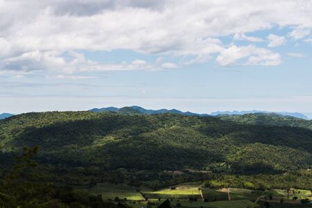 walkway at countrysideの写真素材