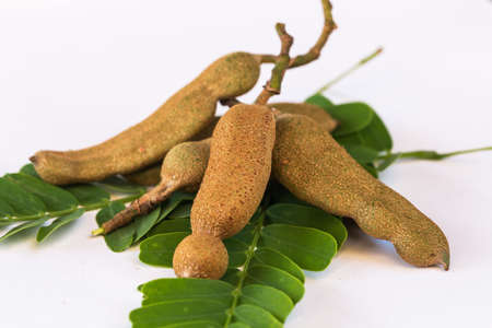 fresh tamarind on leafの写真素材