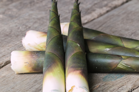bamboo shootの写真素材