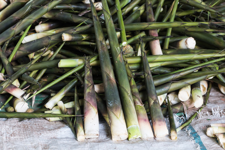 bamboo shoot