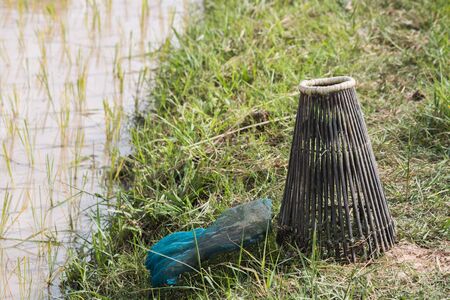 Fishing trap in paddy fieldの写真素材
