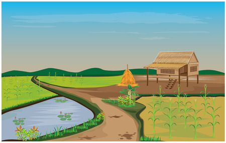 lifestyle of countryside vector designのイラスト素材