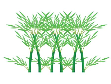 bamboo vector designのイラスト素材