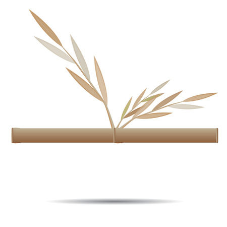 bamboo vector designのイラスト素材
