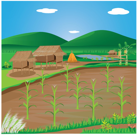 lifestyle of countryside vector designのイラスト素材