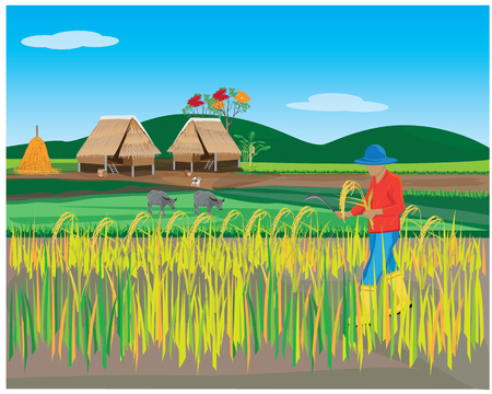 lifestyle of agriculturist vector designのイラスト素材