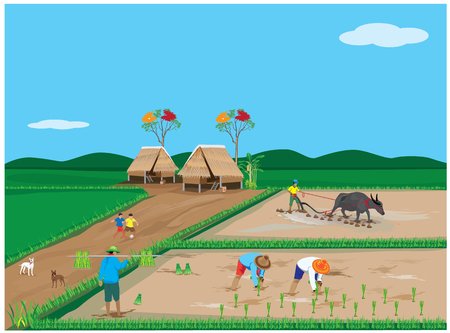 lifestyle of farmer vector designのイラスト素材