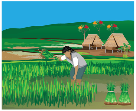 lifestyle of farmer vector designのイラスト素材