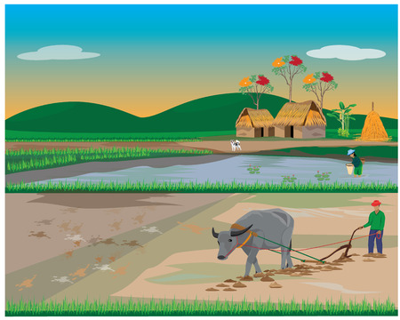 lifestyle of farmer vector designのイラスト素材