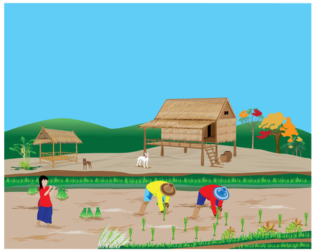 lifestyle of farmer vector designのイラスト素材