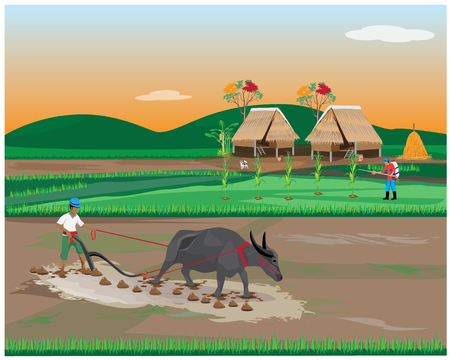 lifestyle of farmer vector designのイラスト素材