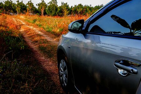 car on way to plantationの写真素材