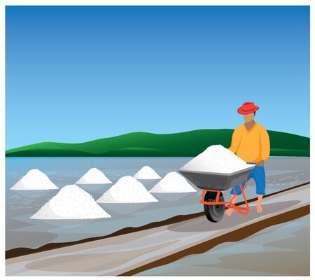 agriculturist in work in saline field vector designのイラスト素材