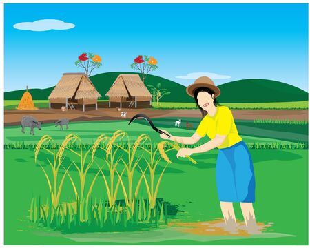 lifestyle of farmer vector designのイラスト素材