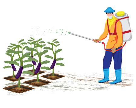 agriculturist sprays eggplant vector designのイラスト素材