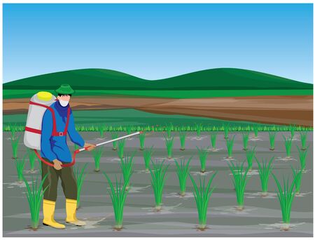 Farmer sprays rice plant vector designのイラスト素材