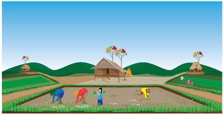 lifestyle of farmer vector designのイラスト素材