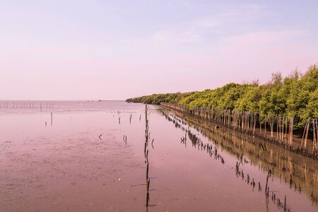 beautiful landscapeの写真素材