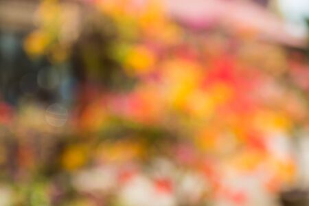 soft blur background take by lens blurの写真素材