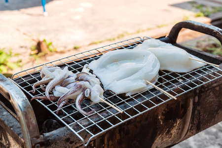 Squid grill on stoveの写真素材