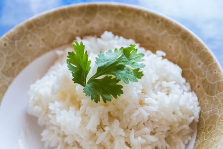 parsley vegetable with white riceの写真素材