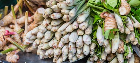 vegetable in marketの写真素材