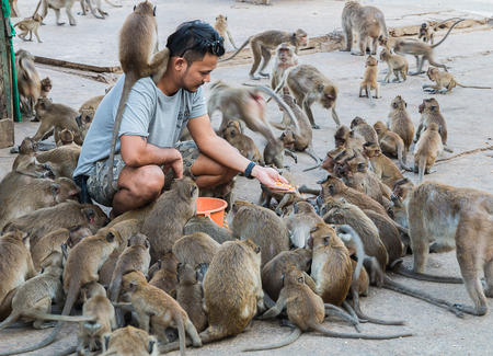 PRACHUP KHIRI KHAN, THAILAND - FEBRUARY 11: One man with many monkey at Wat Khao Takiab on February 11, 2017 in Prachup Khiri Khan, Thailand.のeditorial素材