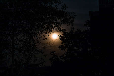 moonlight on night timeの写真素材