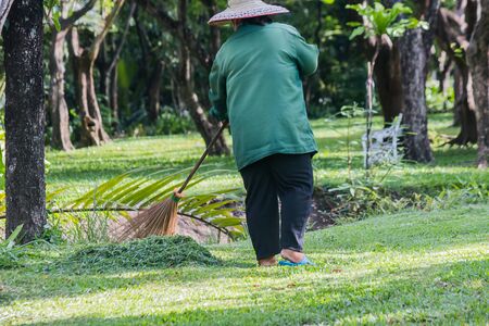 gardener sweep the grass in public parkの写真素材