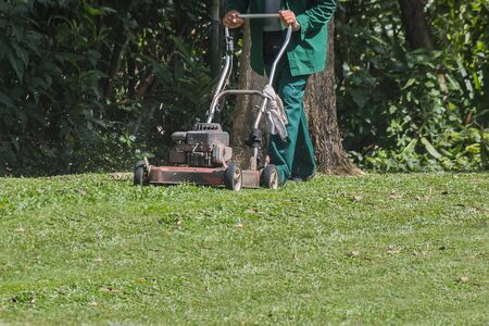 The gardener is using a lawn mower in public park