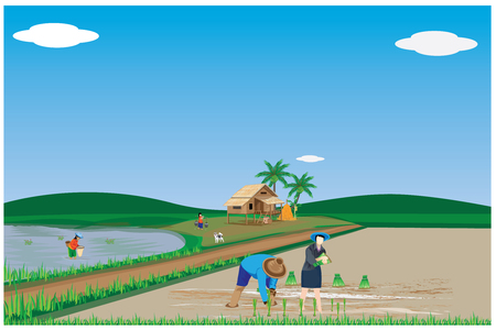 farmer transplant rice seeding vector designのイラスト素材