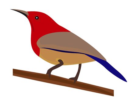 bird on branch vector designのイラスト素材