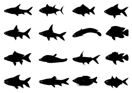 Silhouette set of fish shape vector designのイラスト素材
