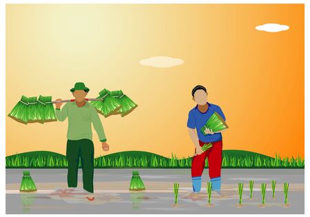 farmer transplant rice seeding vector designのイラスト素材