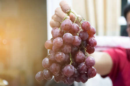 ripe grape fruitの写真素材