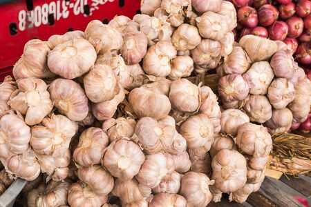 many garlic at booth for saleの写真素材