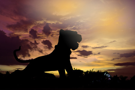 tiger statue in templeの写真素材