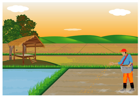 farmer sow rice in paddy field vector designのイラスト素材