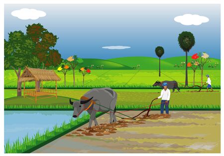 farmer plow in paddy field vector designのイラスト素材