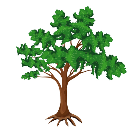 isolated green tree vector designのイラスト素材