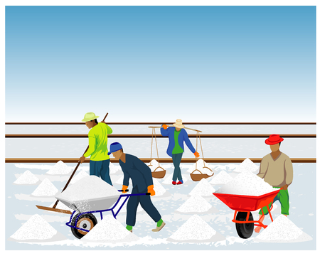 agriculturist work in saline field vector designのイラスト素材
