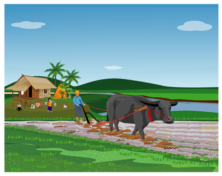farmer plow in paddy field vector designのイラスト素材